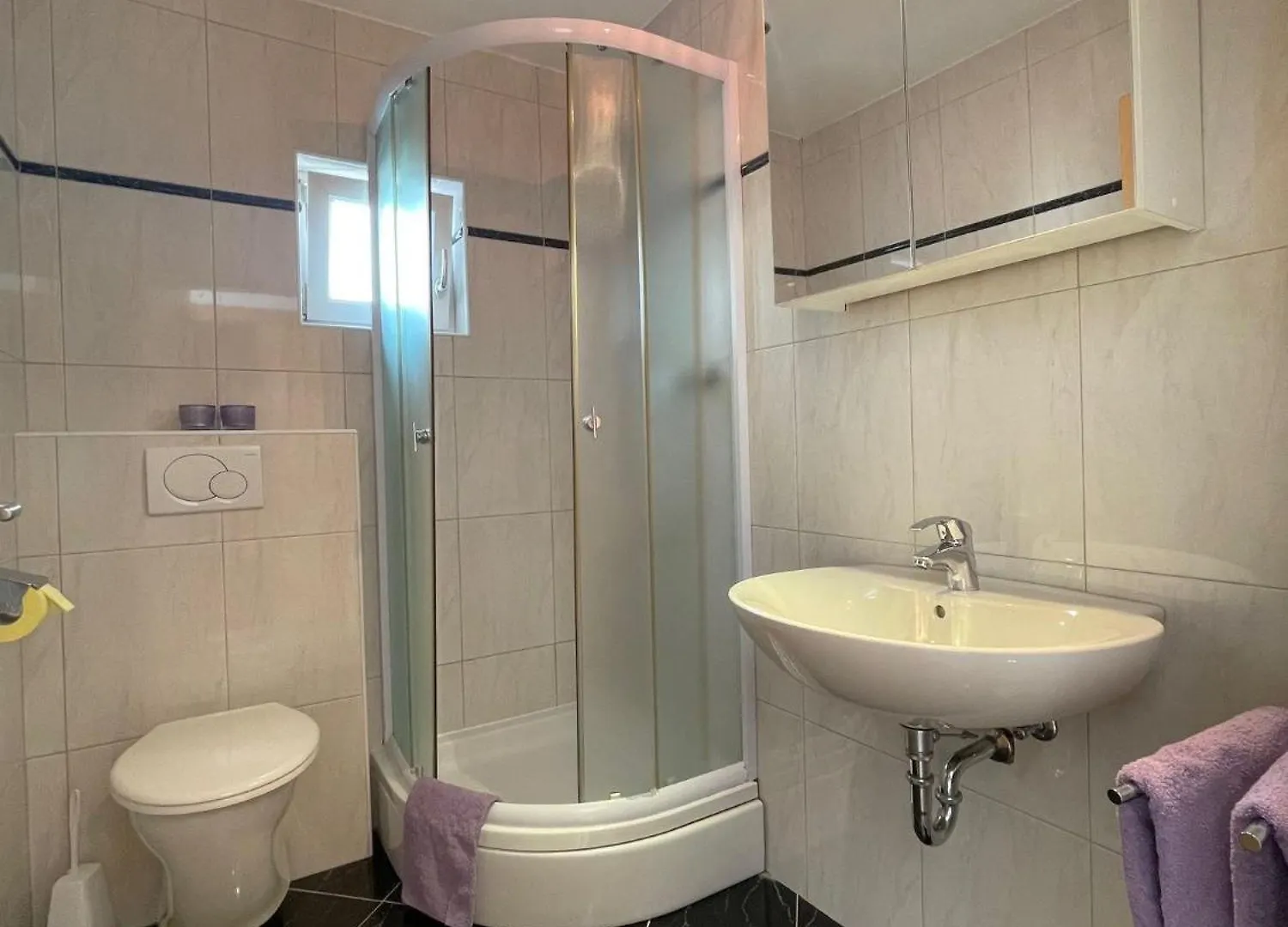 Wohnung Mit Grossem Pool Und Meerblick Crikvenica Croatia